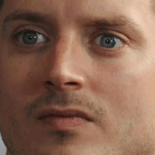 Elijah Wood sticker 25
