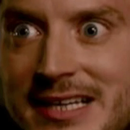 Elijah Wood sticker 26