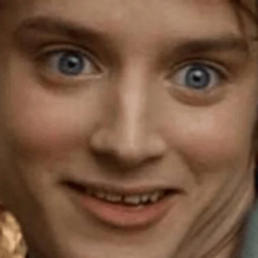 Elijah Wood sticker 27
