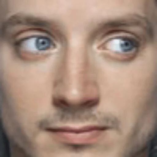 Elijah Wood sticker 28