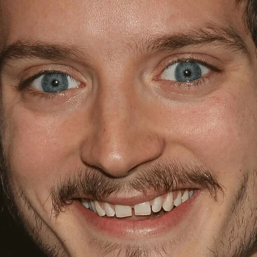 Elijah Wood sticker 29