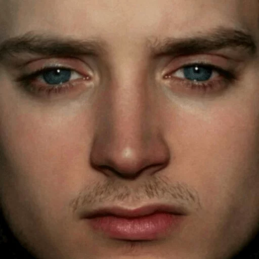 Elijah Wood sticker 30