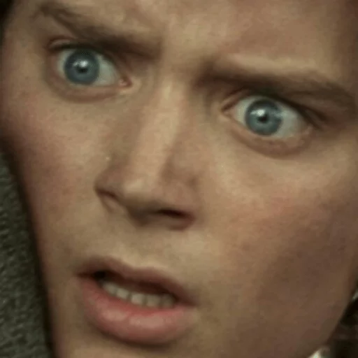 Elijah Wood sticker 4