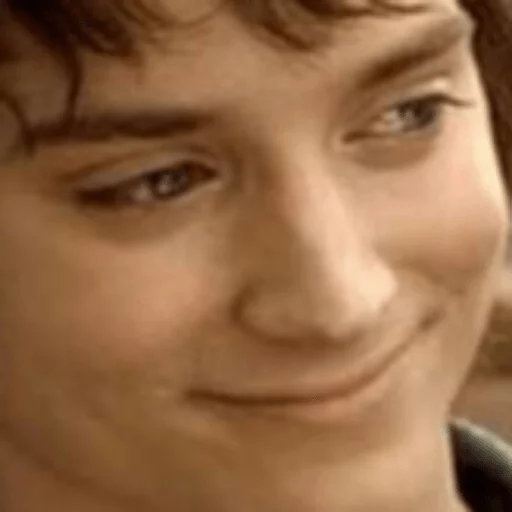 Elijah Wood sticker 32
