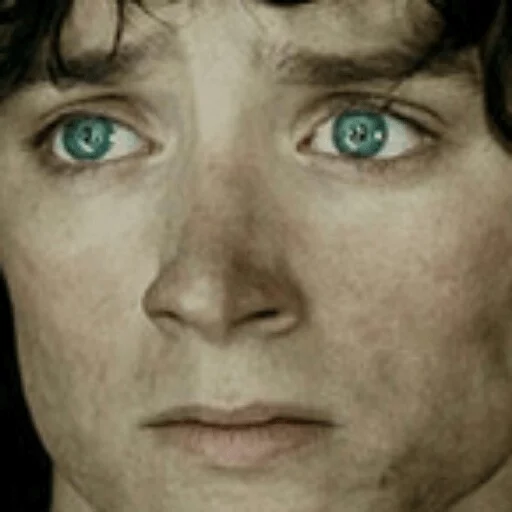 Elijah Wood sticker 33