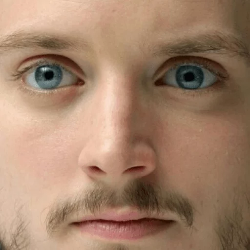Elijah Wood sticker 5