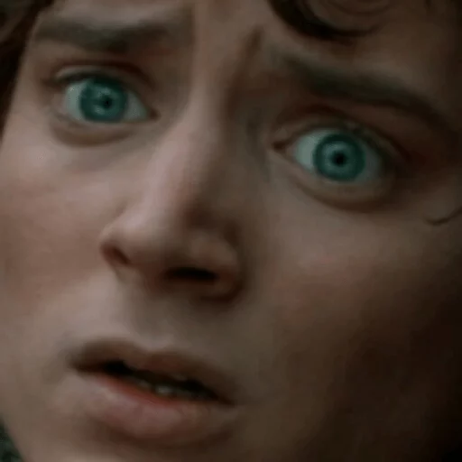 Elijah Wood sticker 6