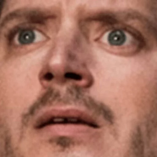 Elijah Wood sticker 7