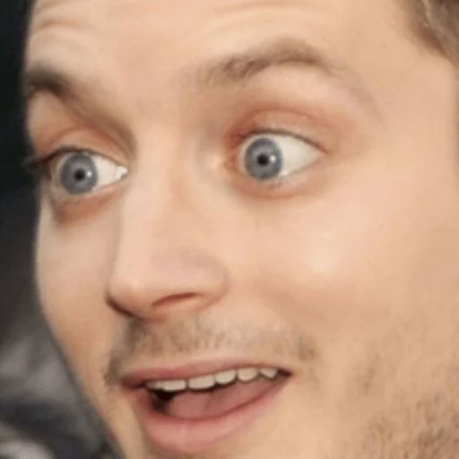 Elijah Wood sticker 8