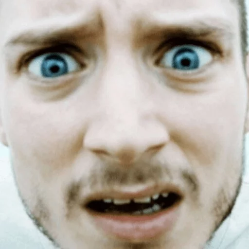 Elijah Wood sticker 9