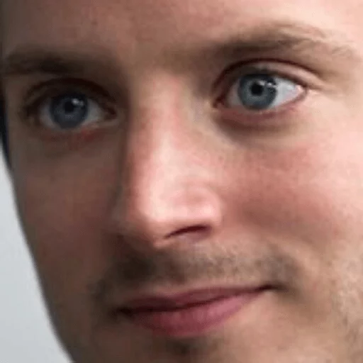 Elijah Wood sticker 10