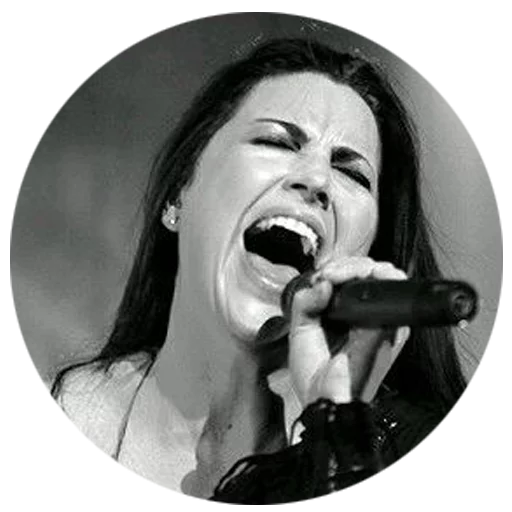 Evanescence sticker 3