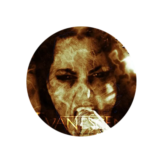 Evanescence sticker 21