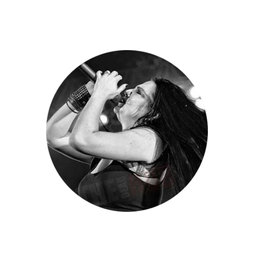 Evanescence sticker 23