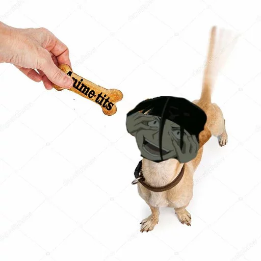 FBI OPEN UP sticker 8