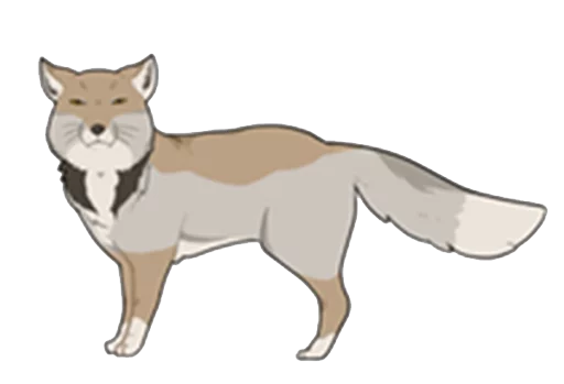 Tibetan Sand Foxes Telegram sticker pack