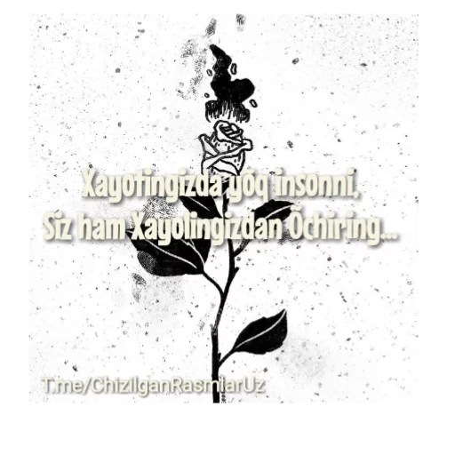 FotoStatus_QõldaChizilganRasmlar sticker 8