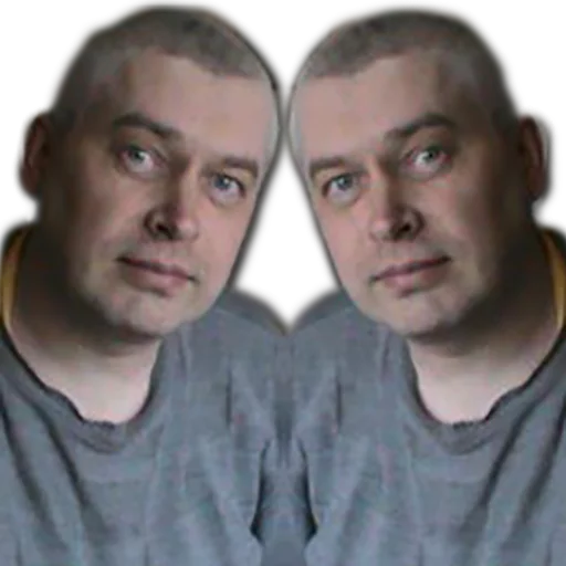 Геннадий Горин sticker 12