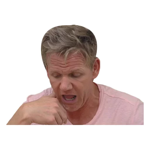 Gordon Ramsay sticker 4