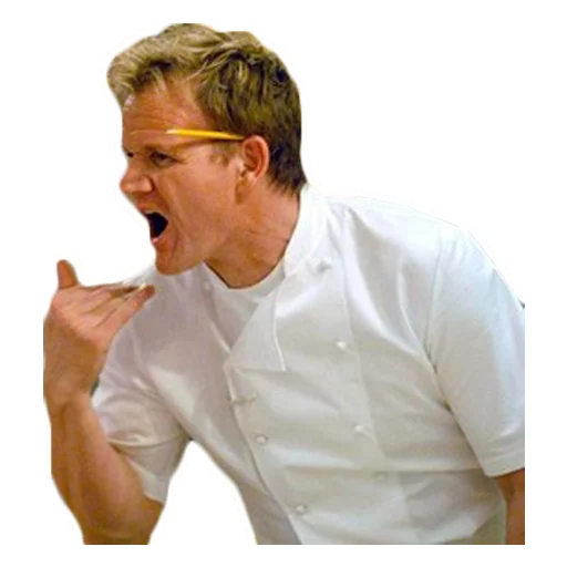 Gordon Ramsay sticker 8
