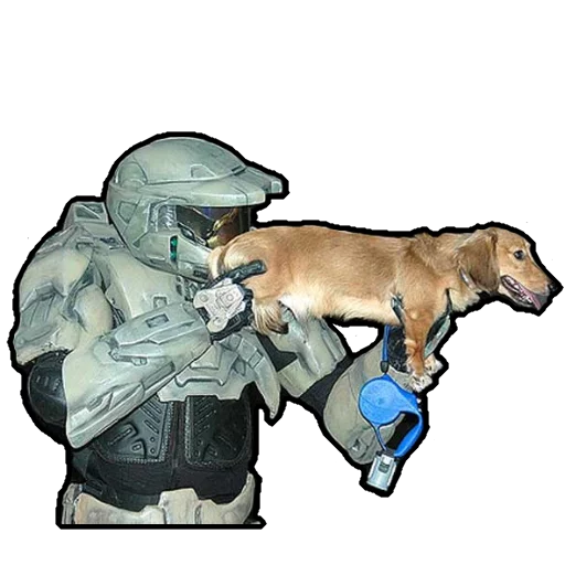 Halo Memes sticker 4