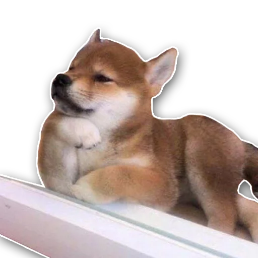 shiba inu's pack sticker 2