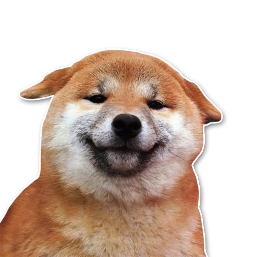 shiba inu's pack sticker 11