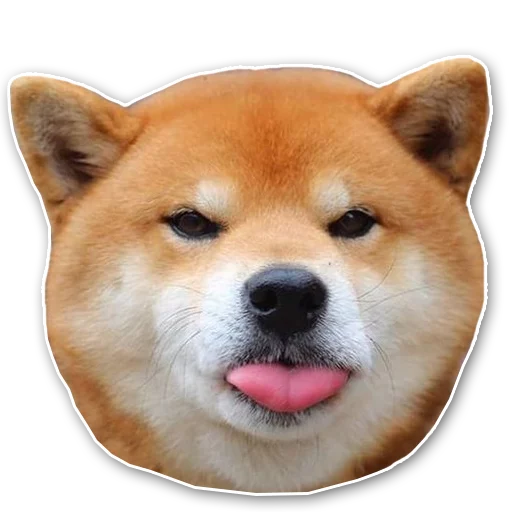 shiba inu's pack sticker 5
