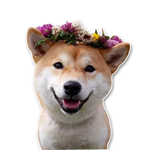 shiba inu's pack sticker 6