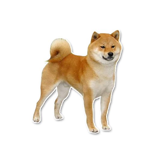shiba inu's pack sticker 7