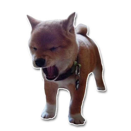 shiba inu's pack sticker 8