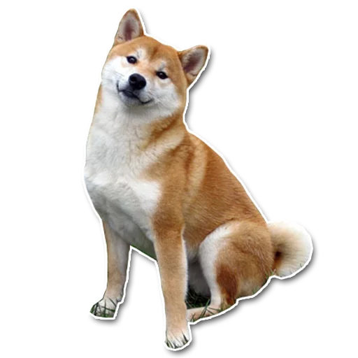 shiba inu's pack sticker 9