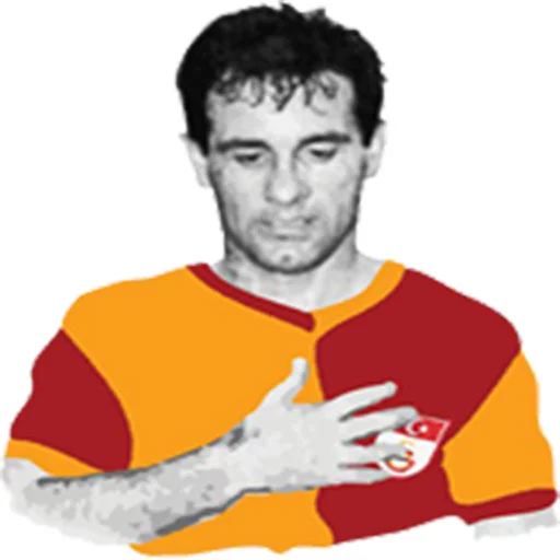 Hayatımız Galatasaray Telegram sticker pack