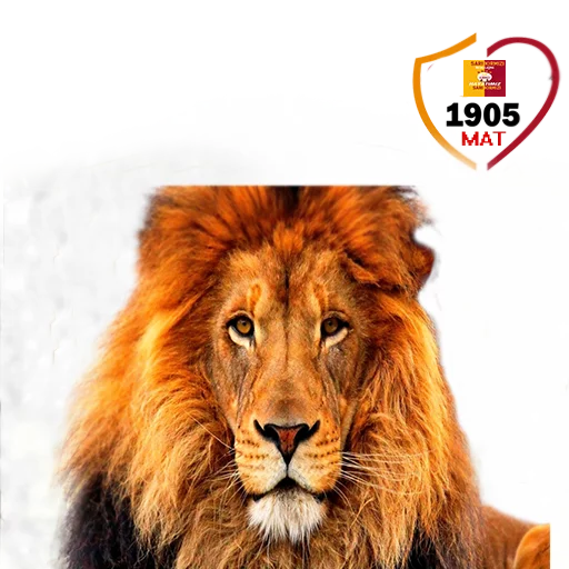 Hayatımız Galatasaray sticker 11