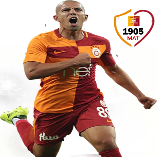 Hayatımız Galatasaray sticker 3