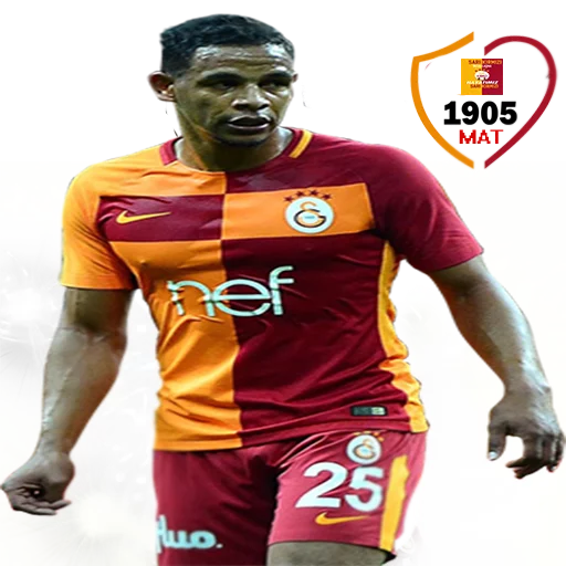 Hayatımız Galatasaray sticker 4