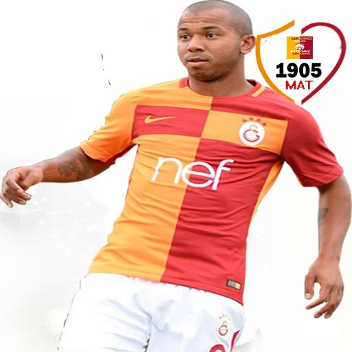 Hayatımız Galatasaray sticker 6