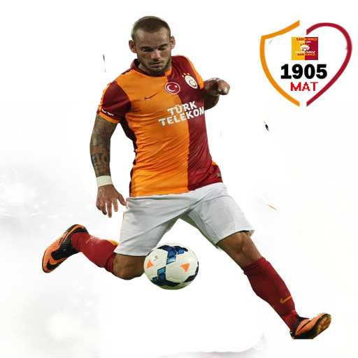 Hayatımız Galatasaray sticker 7