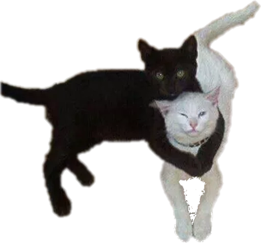 hug sticker 10