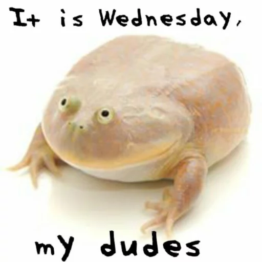 It's wednesday my dudes Telegram sticker pack