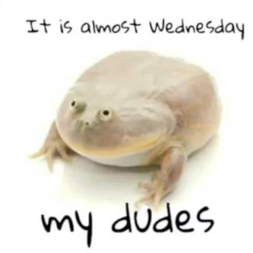It's wednesday my dudes sticker 2