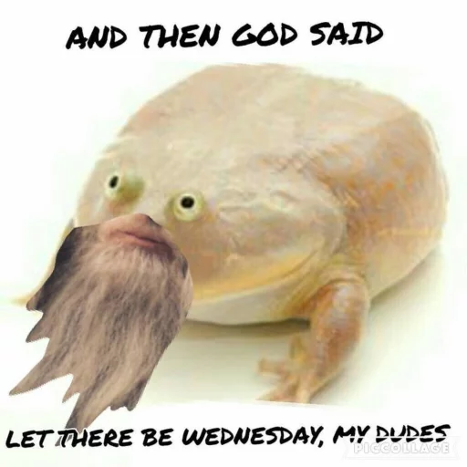 It's wednesday my dudes sticker 12