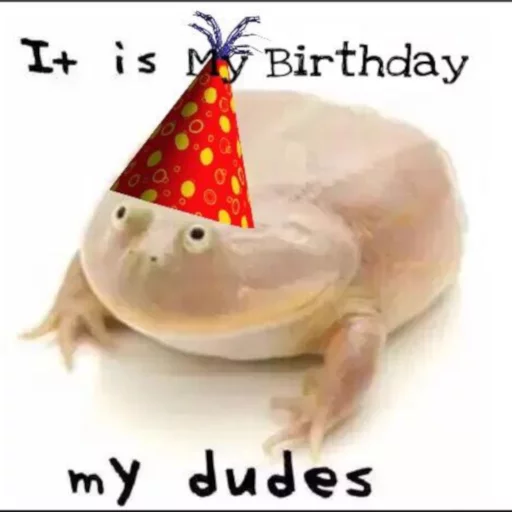 It's wednesday my dudes sticker 4