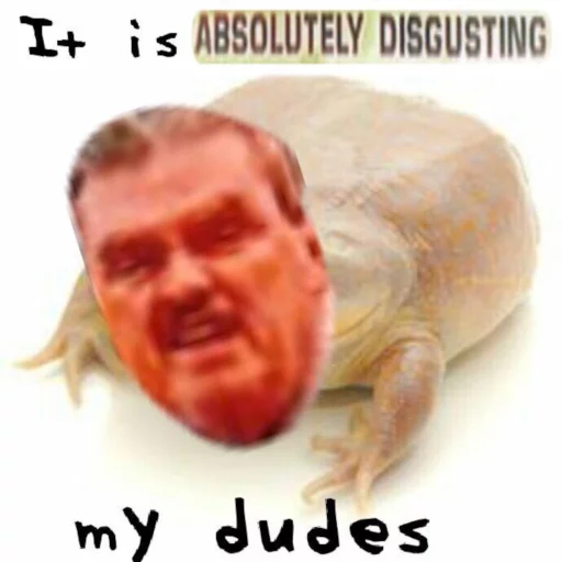 It's wednesday my dudes sticker 6
