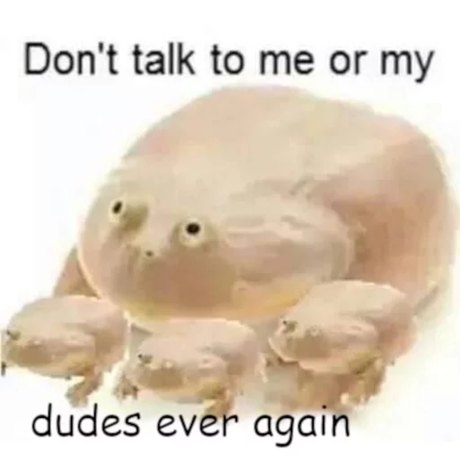 It's wednesday my dudes sticker 7