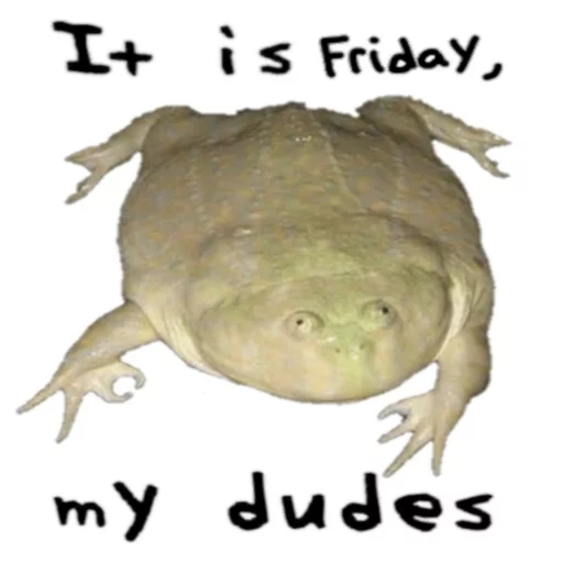 It's wednesday my dudes sticker 9