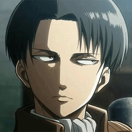 “Levi Ackerman” sticker 6