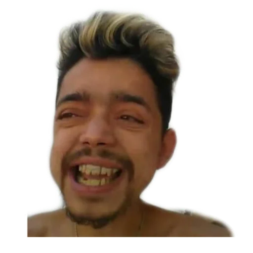 Fuck Sapos Solo Reales Telegram sticker pack