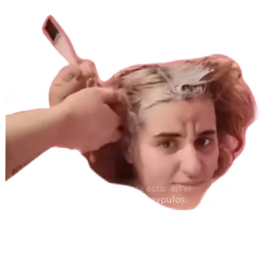 Fuck Sapos Solo Reales sticker 3