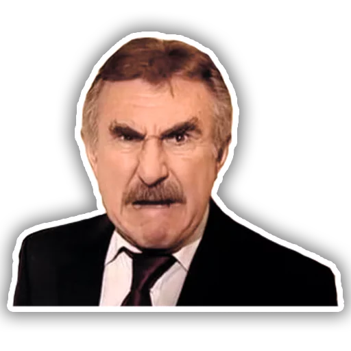 Леонид Каневский sticker 11